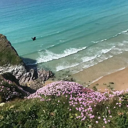 The Three Tees 3* New Quay